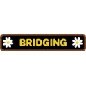 Bridging (bar)